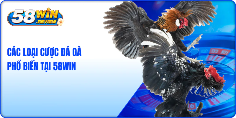Các Loại Cược Đá Gà Phổ Biến Tại 58Win